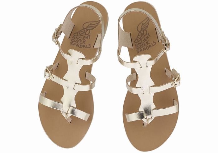 Sandales Casual Ancient Greek Sandals Grace Kelly Leather   | IND-1054896